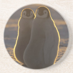 Kaiserpinguine Untersetzer