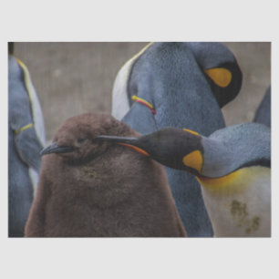 Kaiserpinguinpapier Seidenpapier