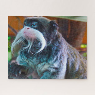 Kaiserschnurrhaffen-Affe. Puzzle