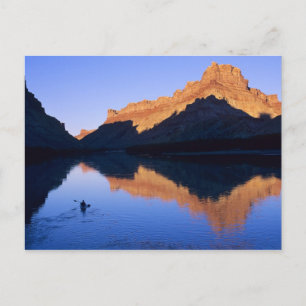 Kajakfahren am Colorado River auf Spanisch Postkarte