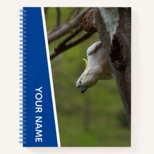 Kakadu Australien Papagei Kopfstand, Lustiger Blau Notizbuch