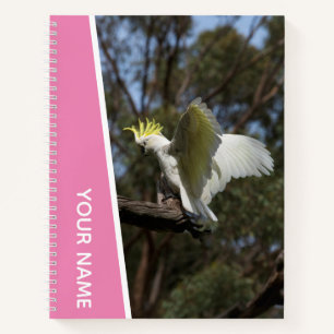 Kakadu Australien Papagei Vogel Flügel, Rosa Notizbuch