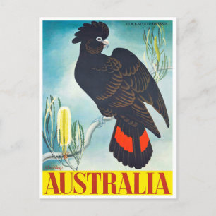 Kakadu Australien Vintage Reise Postkarte