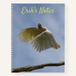 Kakadu Australien Vogel Papagei Fliegen Himmel Fot Notizbuch