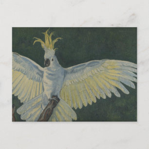 Kakadu Postkarte
