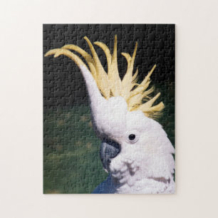 Kakadu-Puzzle mit Schwefelkies Puzzle