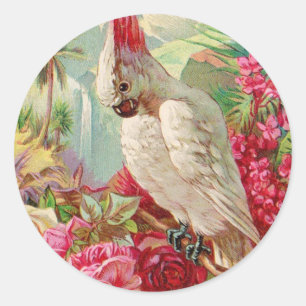 Kakadu & Rosen Vintage Kunst Runder Aufkleber