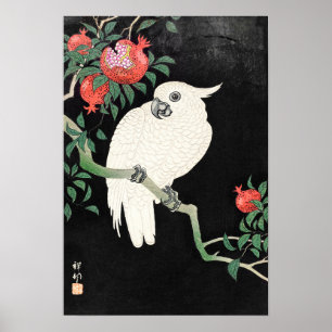 Kakadu und Granatapfel von Ohara Koson Poster