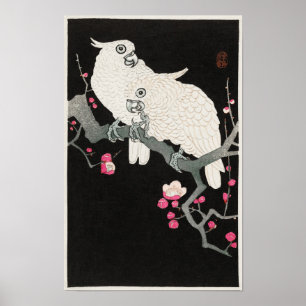 Kakadus und Pflaumenblüten von Ohara Koson Poster