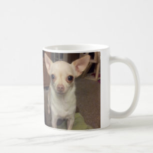 Kakao die Chihuahua-Tasse Kaffeetasse