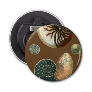 Kakao-Muschel Flaschenöffner