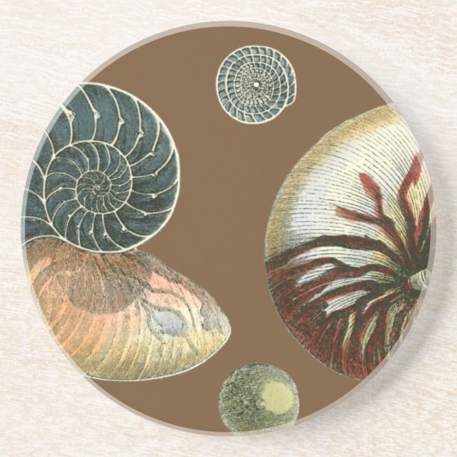 Kakao-Muschel Sandstein Untersetzer (Vorne)