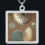 Kakao-Muschel Versilberte Kette<br><div class="desc">Holen Sie sich dieses einzigartige stonengewaschene rote und blaue Muschelbild von Conch auf Ihrem nächsten Produkt. Dieser phantastische Kakaohintergrund dieser beiden einzigartigen Muscheln. Nimm den Strand mit, wohin du auch gehst.</div>