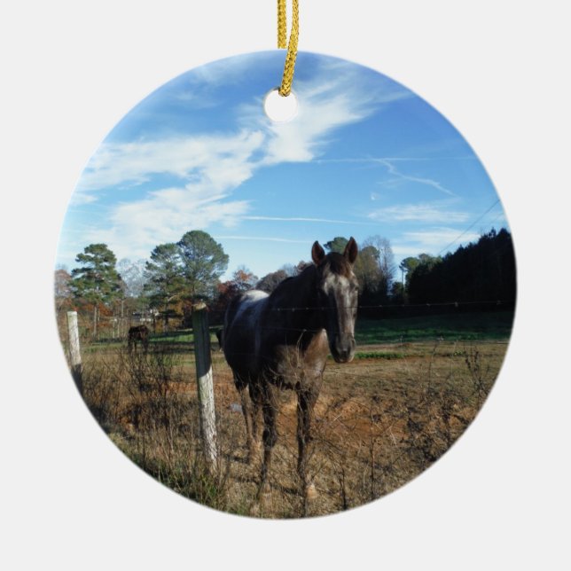 Kakao- und Cremopferpferd Keramik Ornament (Vorne)