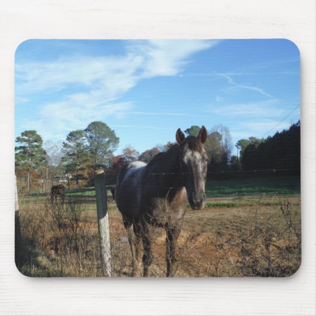 Kakao- und Cremopferpferd Mousepad (Vorne)