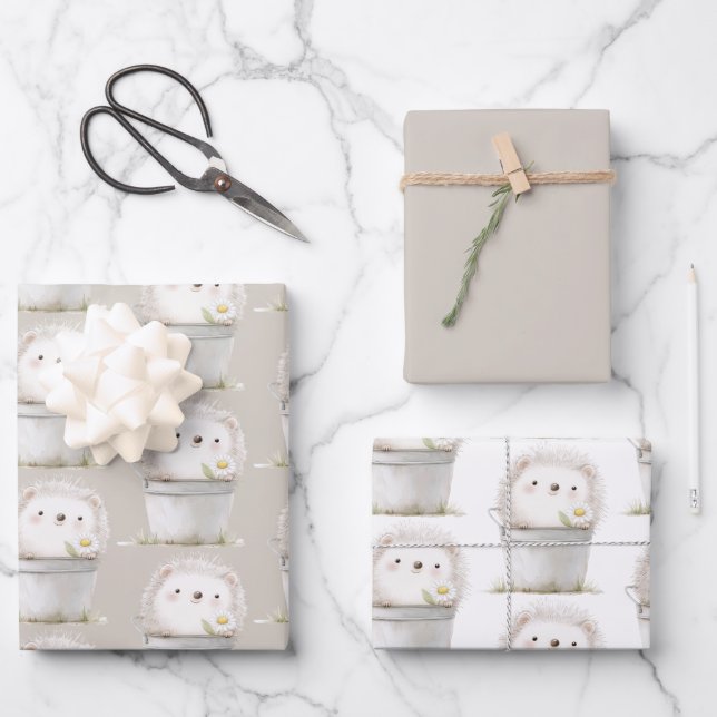 Kakaocreme Igel Gänseblümchen Blumen Eimer Geburts Geschenkpapier Set (Vorderseite)