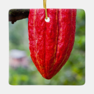 Kakaofrucht rot keramikornament