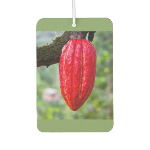 Kakaoschote rot autolufterfrischer