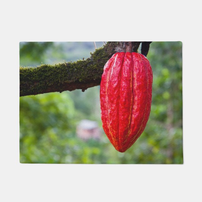 Kakaoschote rot fußmatte (Vorderseite)