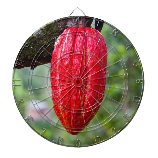 Kakaotorrot Dartscheibe (vorne)