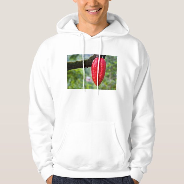 Kakaotorrot Hoodie (Vorderseite)