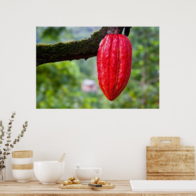 Kakaotorrot Poster (Küche)