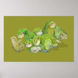 Kakapo Chick Creche Poster