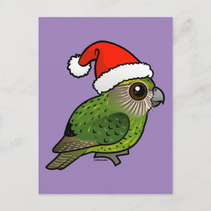 Kakapo Claus Postkarte