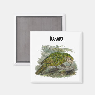 Kakapo Grüner Papagei, seltene Vogeltäuschung Magnet