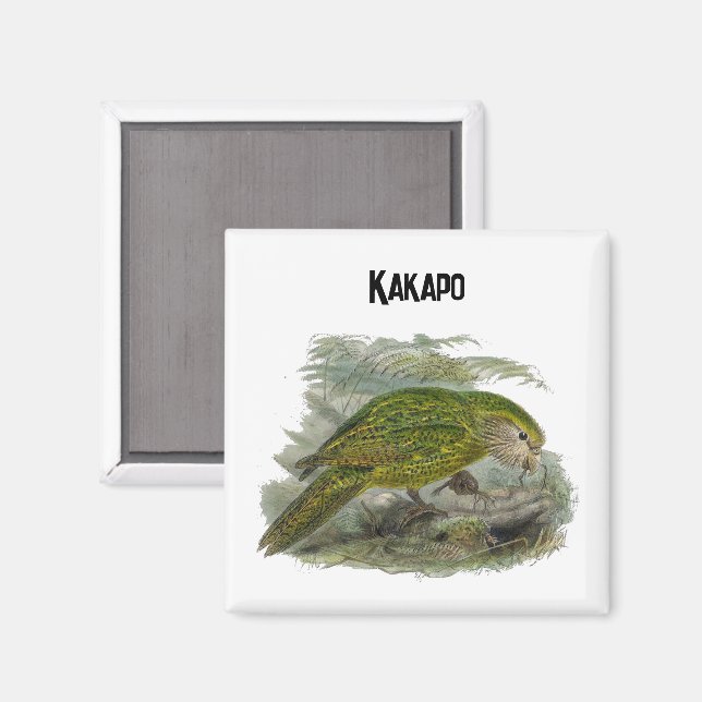 Kakapo Grüner Papagei, seltene Vogeltäuschung Magnet (Vorderseite/Rückseite)