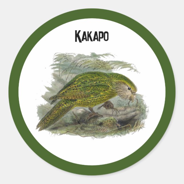 Kakapo Grüner Papagei, seltene Vogeltäuschung Runder Aufkleber (Vorderseite)