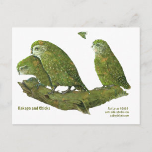 Kakapo und Küken Postkarte