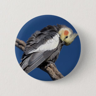 Kakatie Button