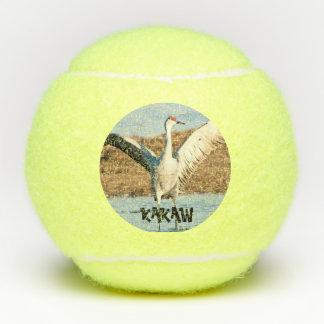 KAKAW Tennisball Tennisbälle