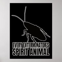 Kakerlaken Kakerlake - Entomologie Geek