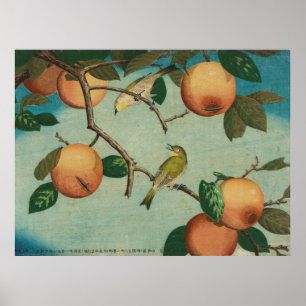 Kakis und Brillenvögel 1880 Japanischer Druck Poster