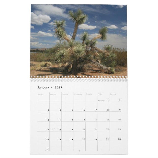 Kakteen 2013 kalender (Jan 2027)
