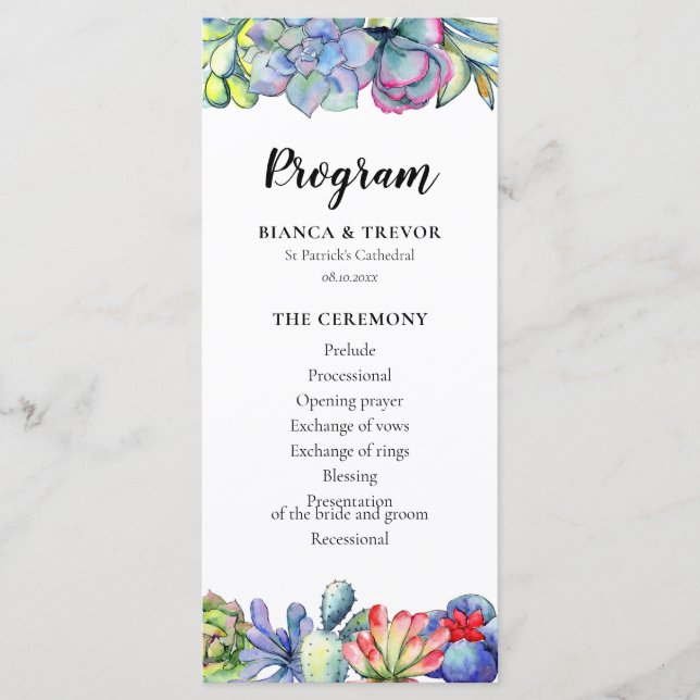 Kakteen, Aquarell Programm (Vorderseite)