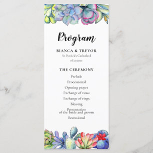 Kakteen, Aquarell Programm