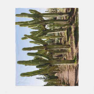 Kakteen Garten, tropische Wüstenlandschaft. Fleecedecke