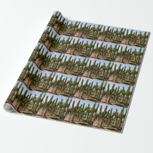 Kakteen Garten, tropische Wüstenlandschaft. Geschenkpapier