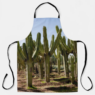 Kakteen Garten, tropische Wüstenlandschaft. Schürze
