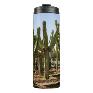 Kakteen Garten, tropische Wüstenlandschaft. Thermosbecher