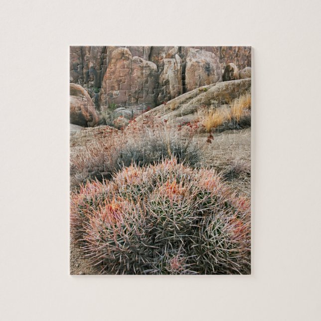 Kakteen Puzzle (Vertikal)