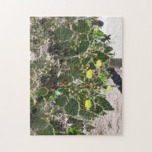 Kakteen Puzzle