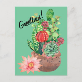 Kakteen, Sukkulente, Kakteen-Blume, Anordnung Postkarte