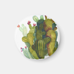 Kakteen, Sukkulenten: Vintage-Aquarell. Magnet