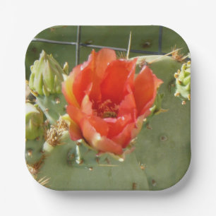 Kakteen Tough and Beautiful Square Paper Tellers Pappteller