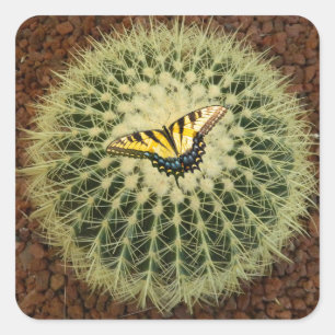 Kakteen und Schmetterling Quadratischer Aufkleber
