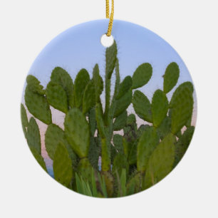 Kakteen und Sisal im Trockenwald Keramikornament